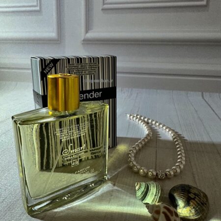 ادکلن اسمارت کالکشن 466 مردانه با حجم 100 میل – مشابه رایحه اسپلندور بلک