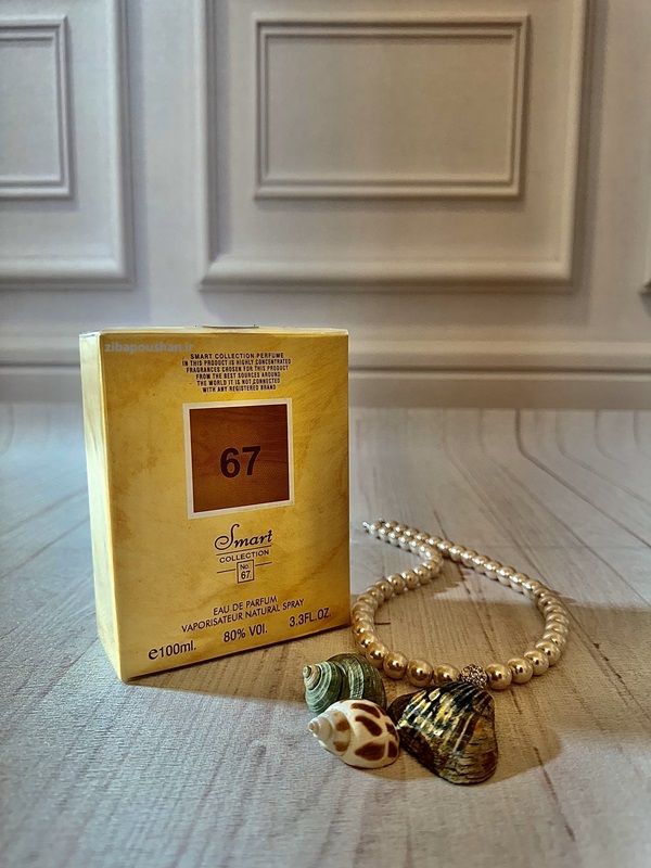 ادکلن اسمارت کالکشن 67 مردانه با حجم 100 میل – مشابه رایحه فندی لایف اسنس